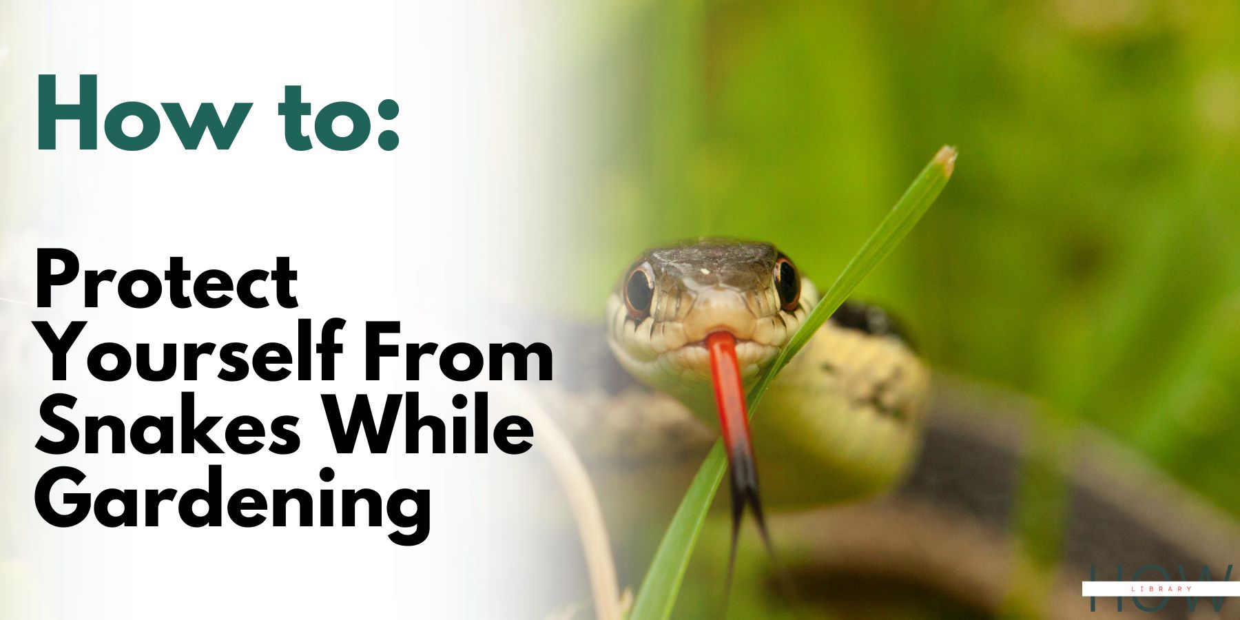 How To Protect Yourself From Snakes While Gardening
