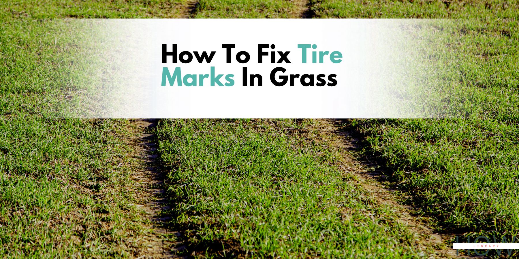 How To Fix Tire Marks In Grass