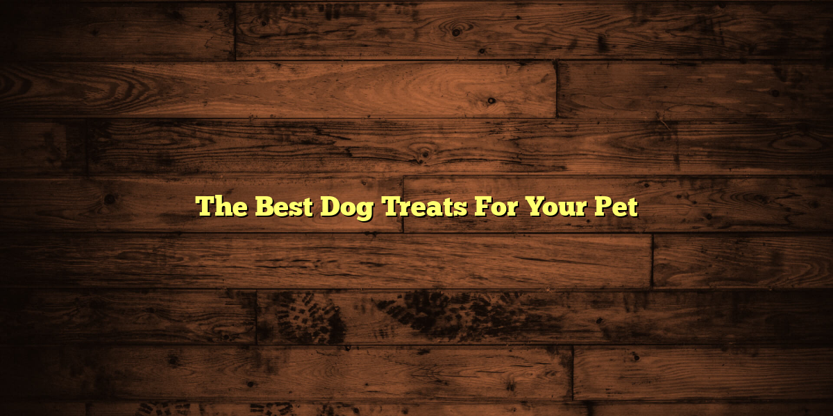 The Best Dog Treats For Your Pet